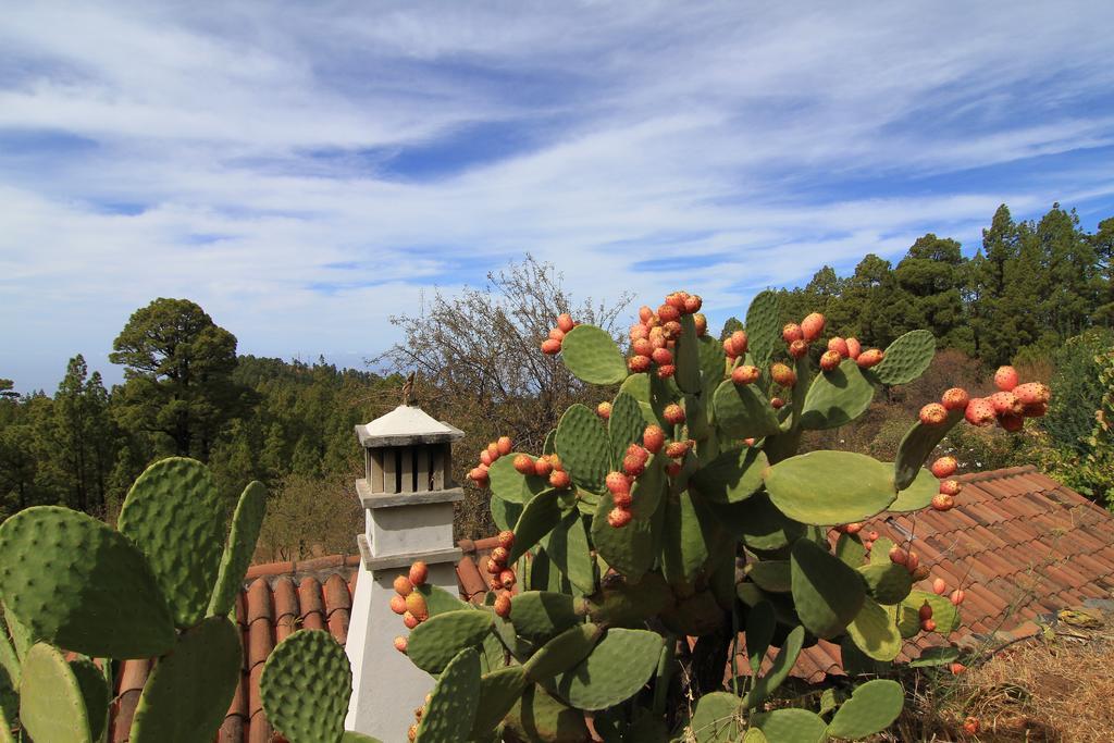 Casa Rural El Riachuelo Garafia Luaran gambar